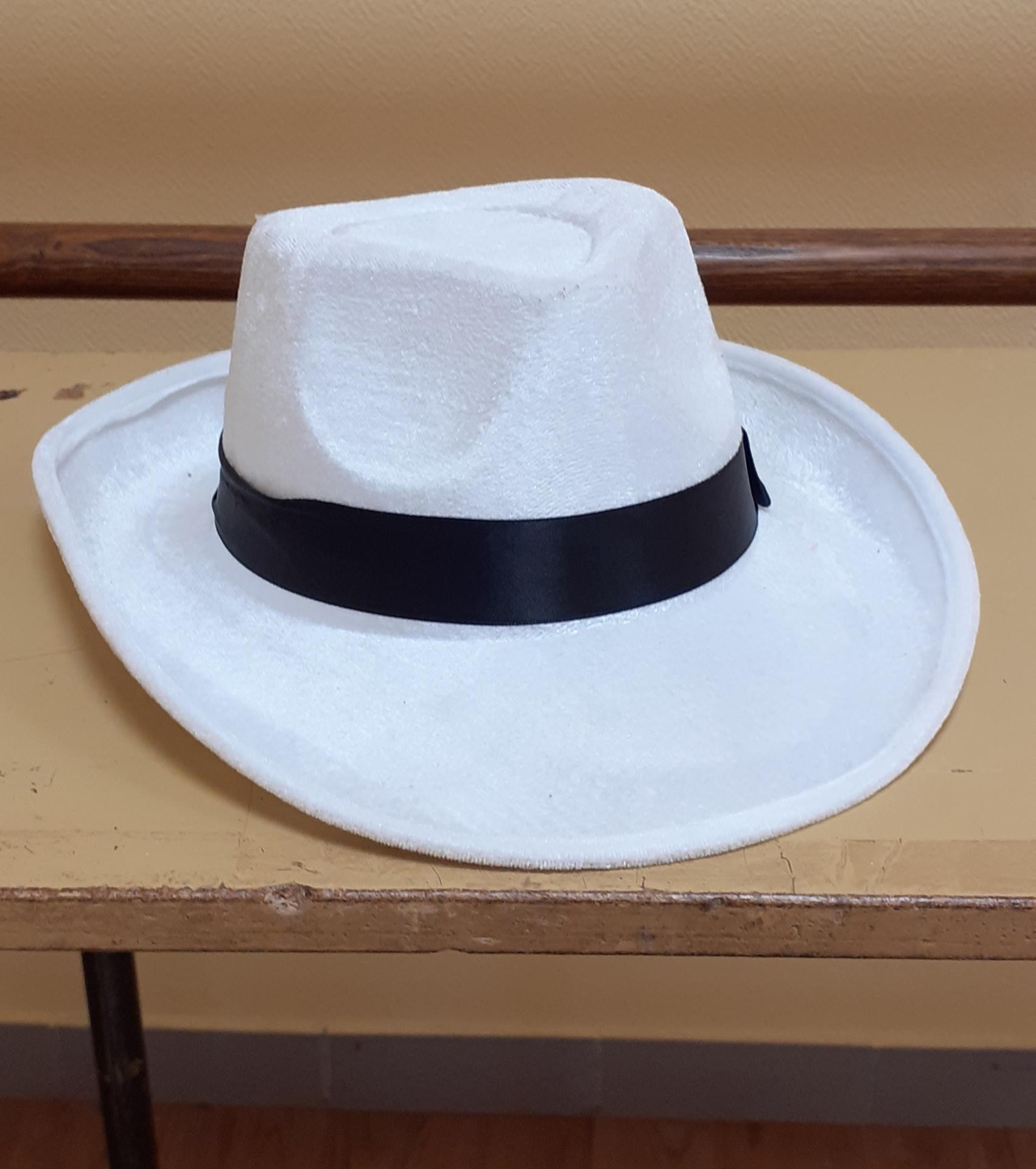 Chapeaux cow-boy Blanc (x9) / Gris (x1)